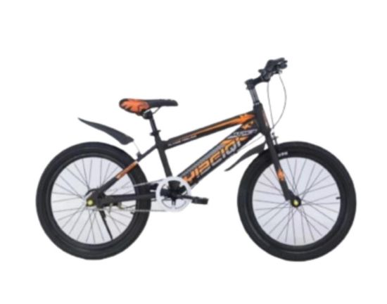 صورة دراجة مقاس 20